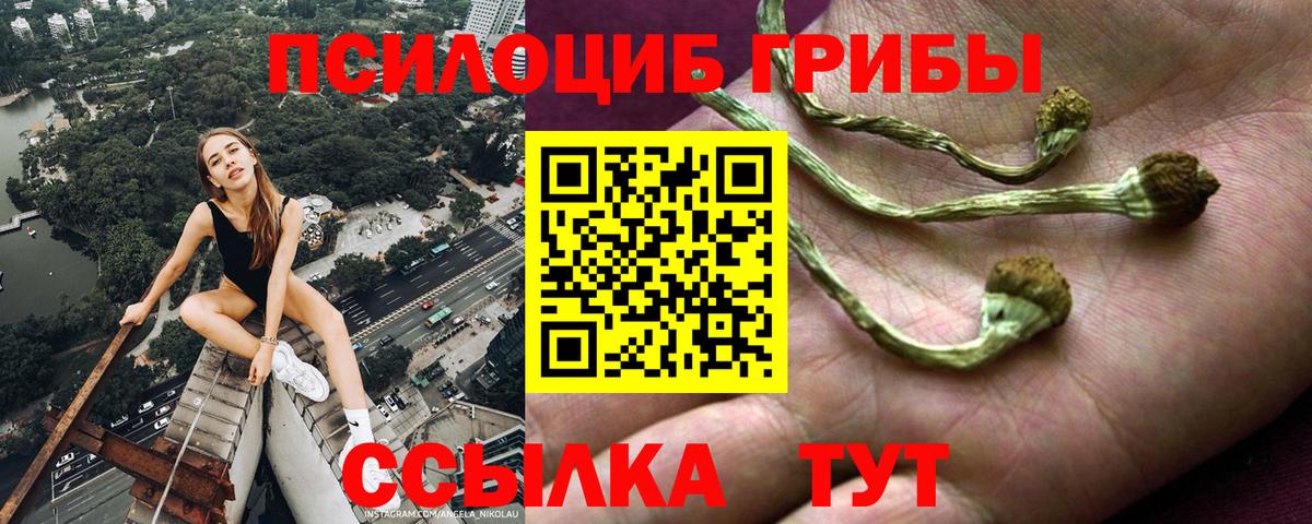 Югорск  Псилоцибиновые грибы прущие грибы  Вход с VPN  Галлюциногенные грибы мицелий 